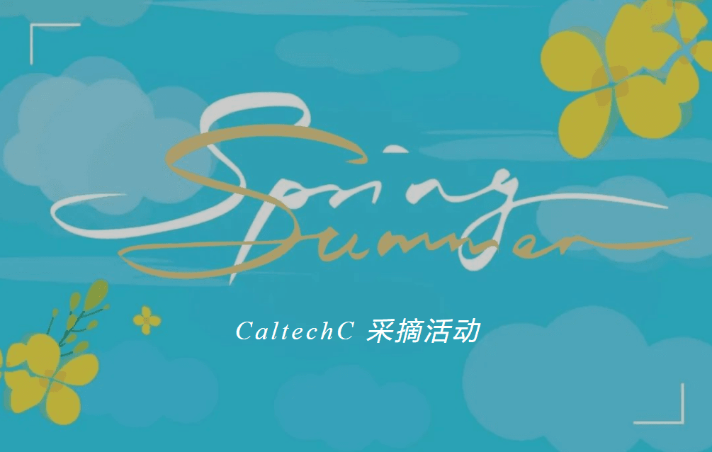 蓝色背景海报,有白色和金色艺术字“Spring Summer”,下方文字“CaltechC 采摘活动”,并有云朵和黄色花朵装饰。