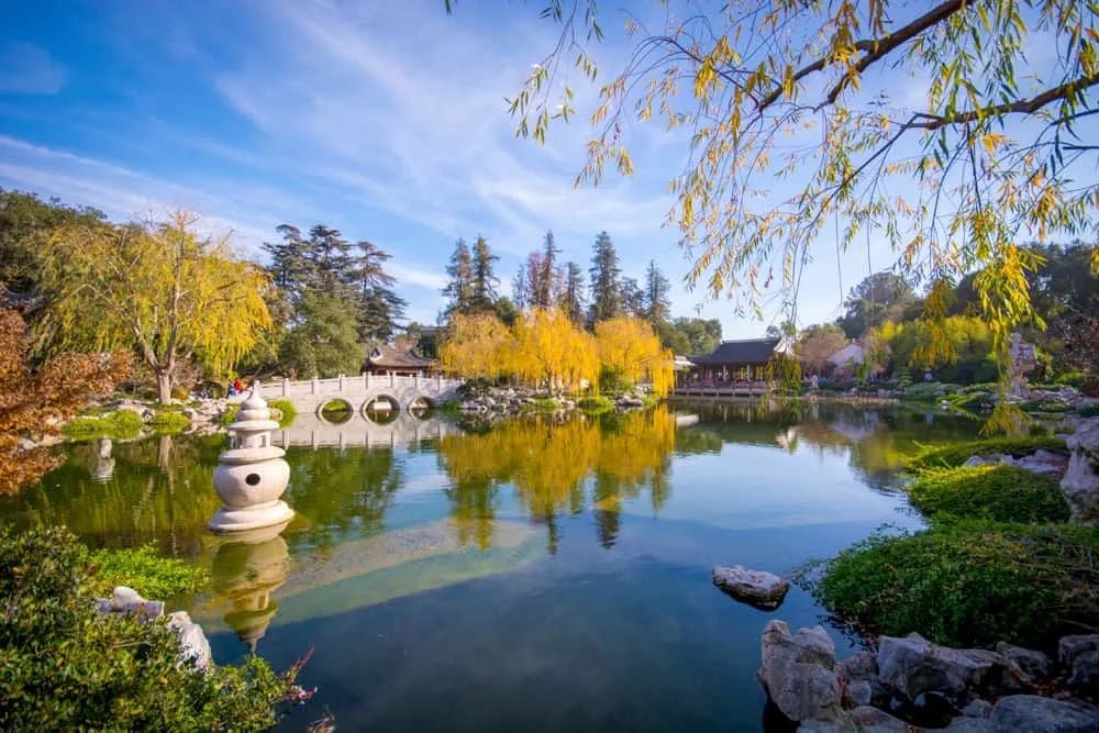 宁静的中国园林,湖水倒映着黄叶树木、石桥和传统建筑,前景有石灯笼。
