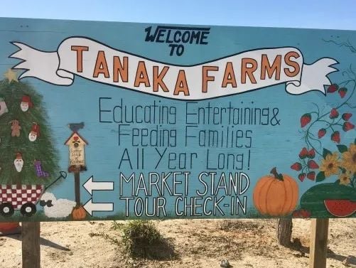 一个蓝色木制农场招牌,写着“Tanaka Farms”,并有农产品和圣诞树的插画。