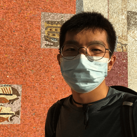 戴眼镜和蓝色口罩的人,背景是带有动物图案的彩色马赛克墙。